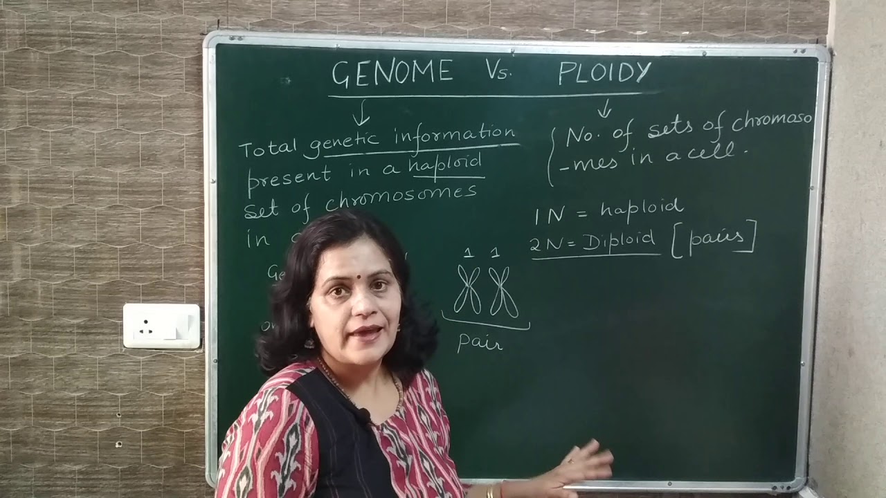 #Genome, #Ploidy. Genome vs ploidy.