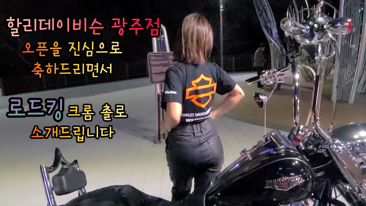 Мотоцикл Harley-Davidson Road King Cholo, который недоступен и не может быть куплен (Coco Harley,...