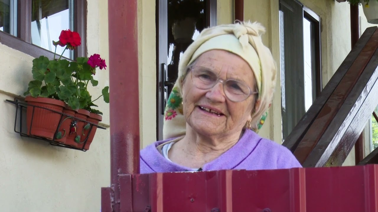 Comuna Cotnari