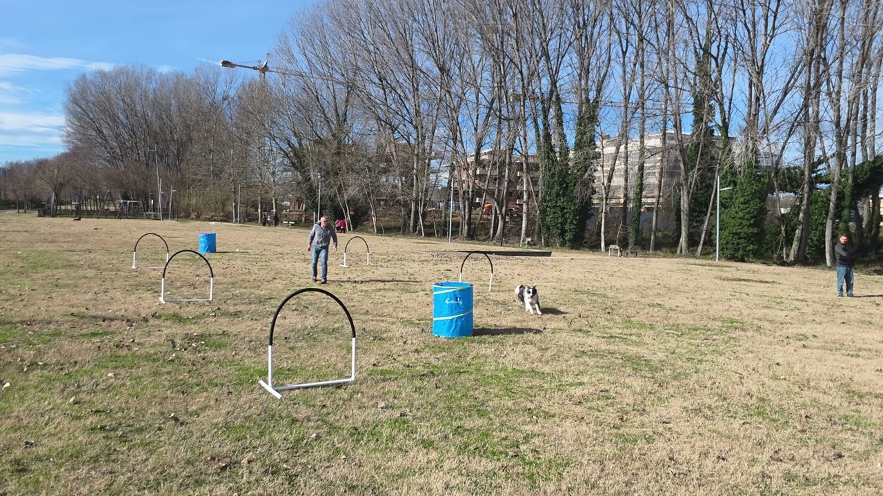 Hoopers ej. 1.0 15 de febrero de 2026