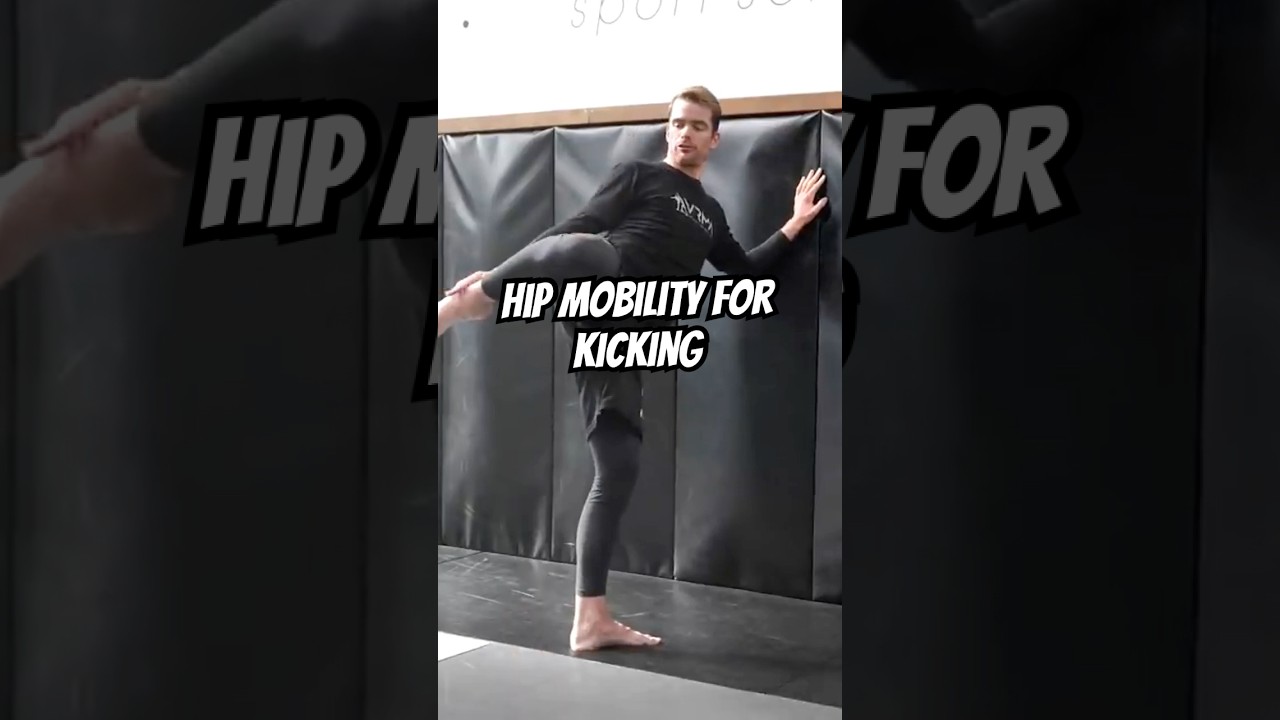 How to get better kicks and hip mobility .
