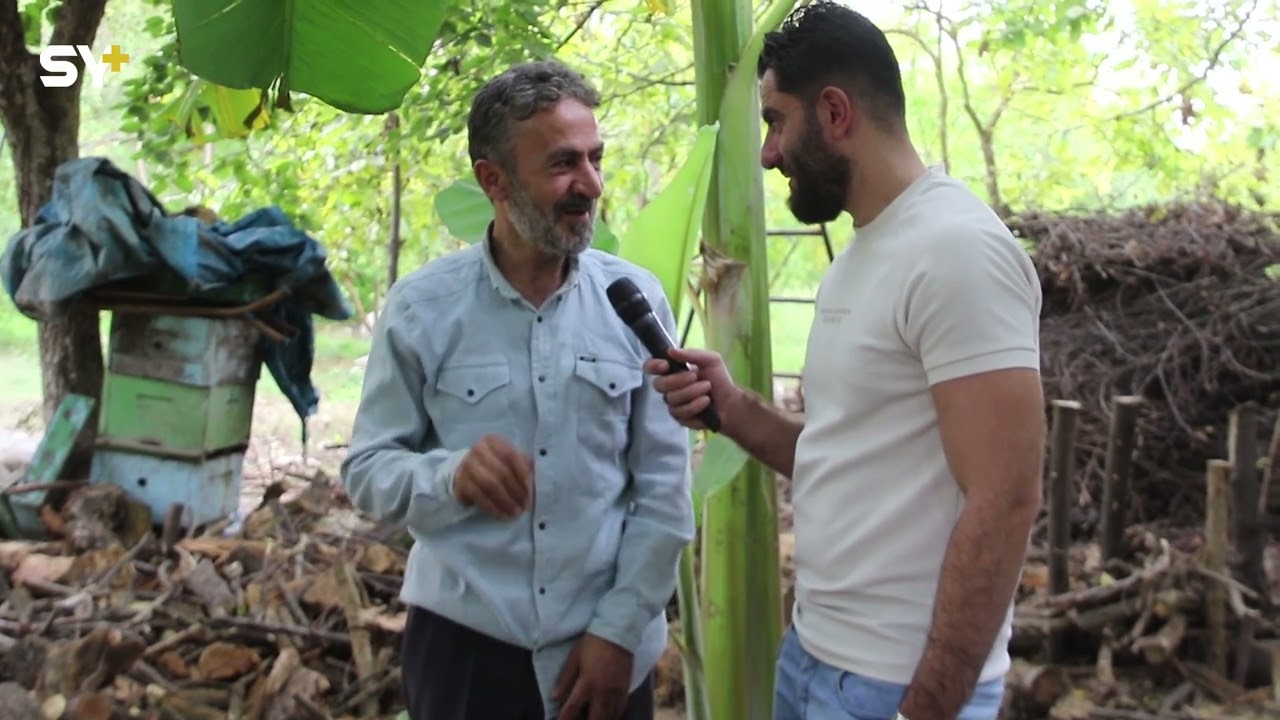لماذا لُقب بقاتل أبيه ؟ أول مزارع ينتج الموز في ادلب ... شاهدوا جنة ادلب وطبيعتها وأنهارها