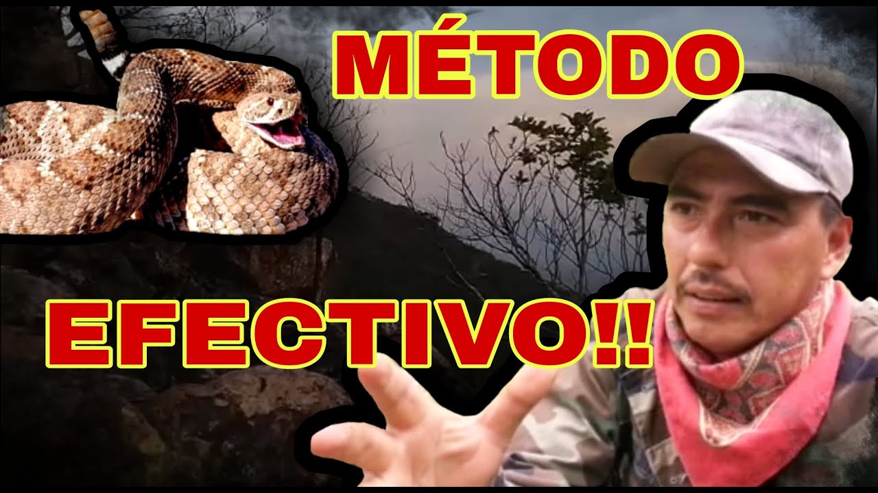 MORDEDURA DE SERPIENTE VENENOSA QUE HACER..TUTORIAL!!! SALVA TU VIDA