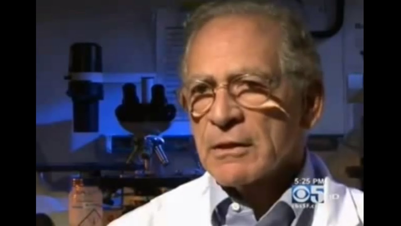 Stanford Kidney Transplant - No Anti Rejection Drugs on CBS 5