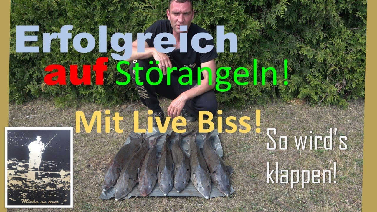 Störangeln mit Freunden 2022 in Pritzwalk!