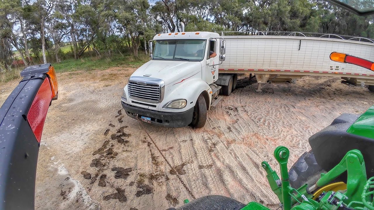 Rain made Wet Corn Harvest Tough