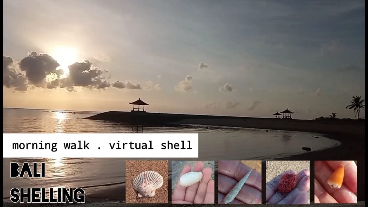Bali Shelling  |  Morning Walk  |  Bali Beach