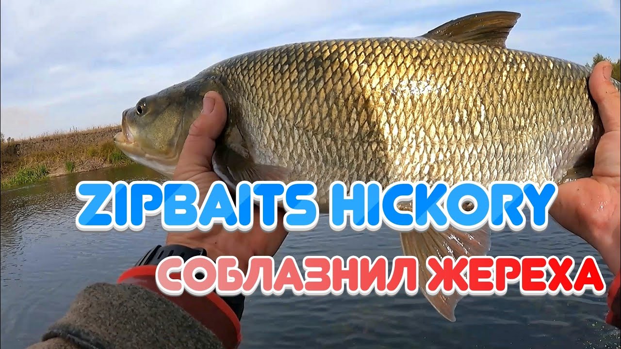 Устал от вываживания КРУПНОГО ЖЕРЕХА 🎣🎣🎣