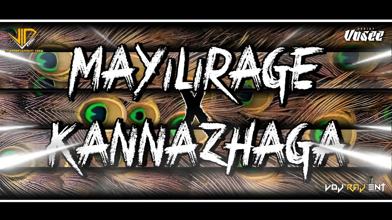 DJay Vasee | Mayilirage x Kannazhaga | Official Audio Remix | ViPEC 2025