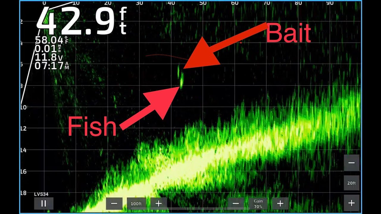 Catching white bass at Lake Pleasant on the Megabass Vision 110 jr 1+ using Garmin Livescope
