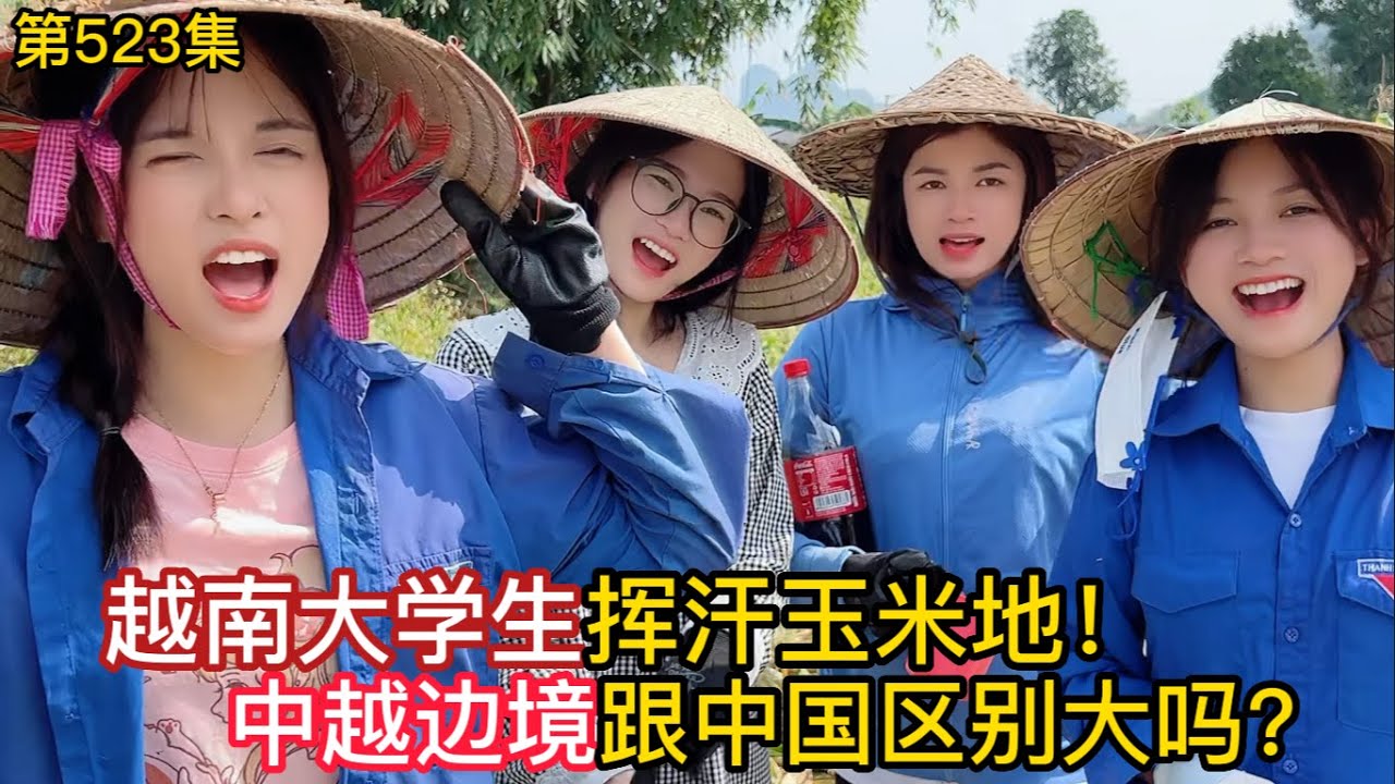 第523集，中越邊境區別大嗎？中國老闆與越南大學生揮汗玉米地！
