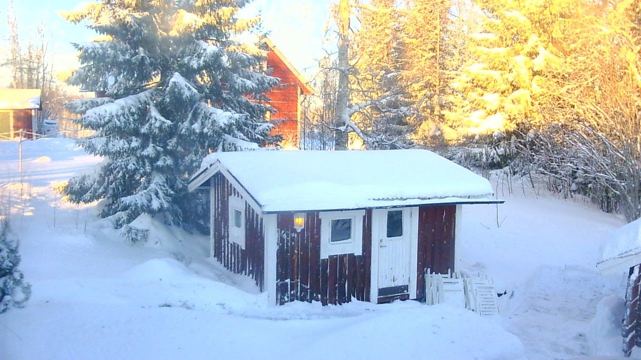 Reelaxing Snow and Winter View