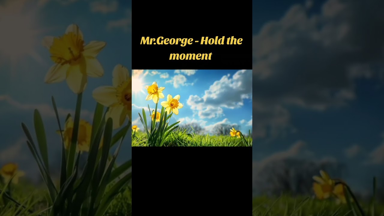 Mr.George - Hold the moment 