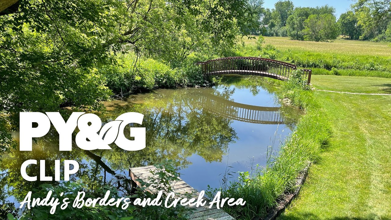 Andy's Borders and Creek Area | Andy's Place | Andy's Place 3610