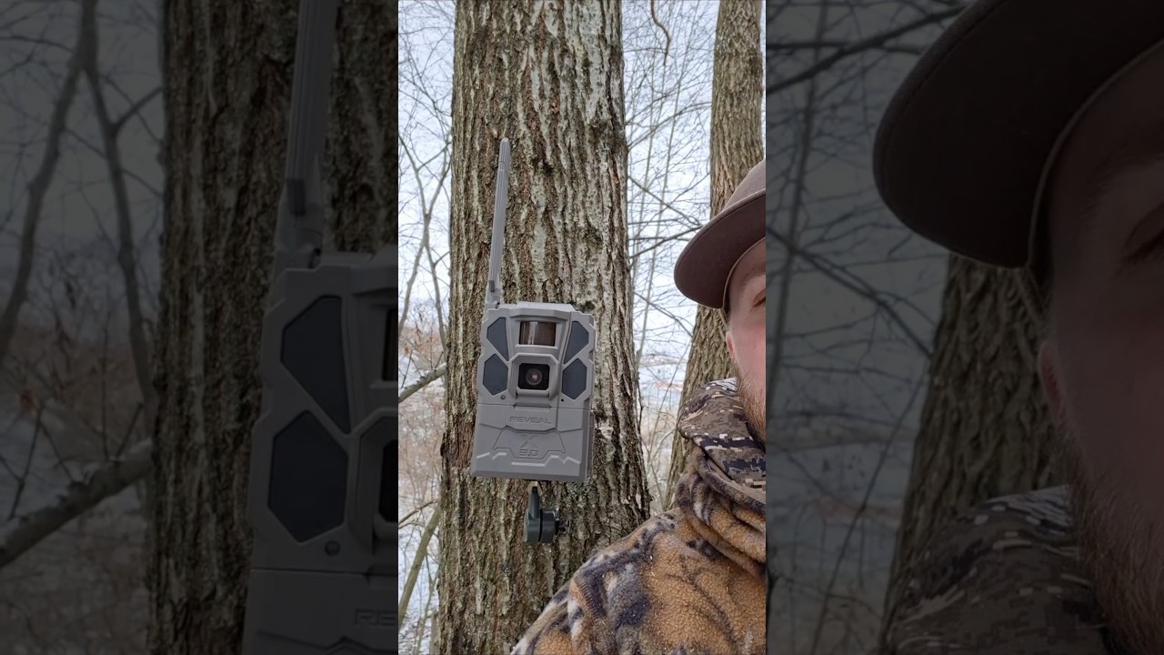 Favorite features of the REVEAL CELL CAM 🦌 