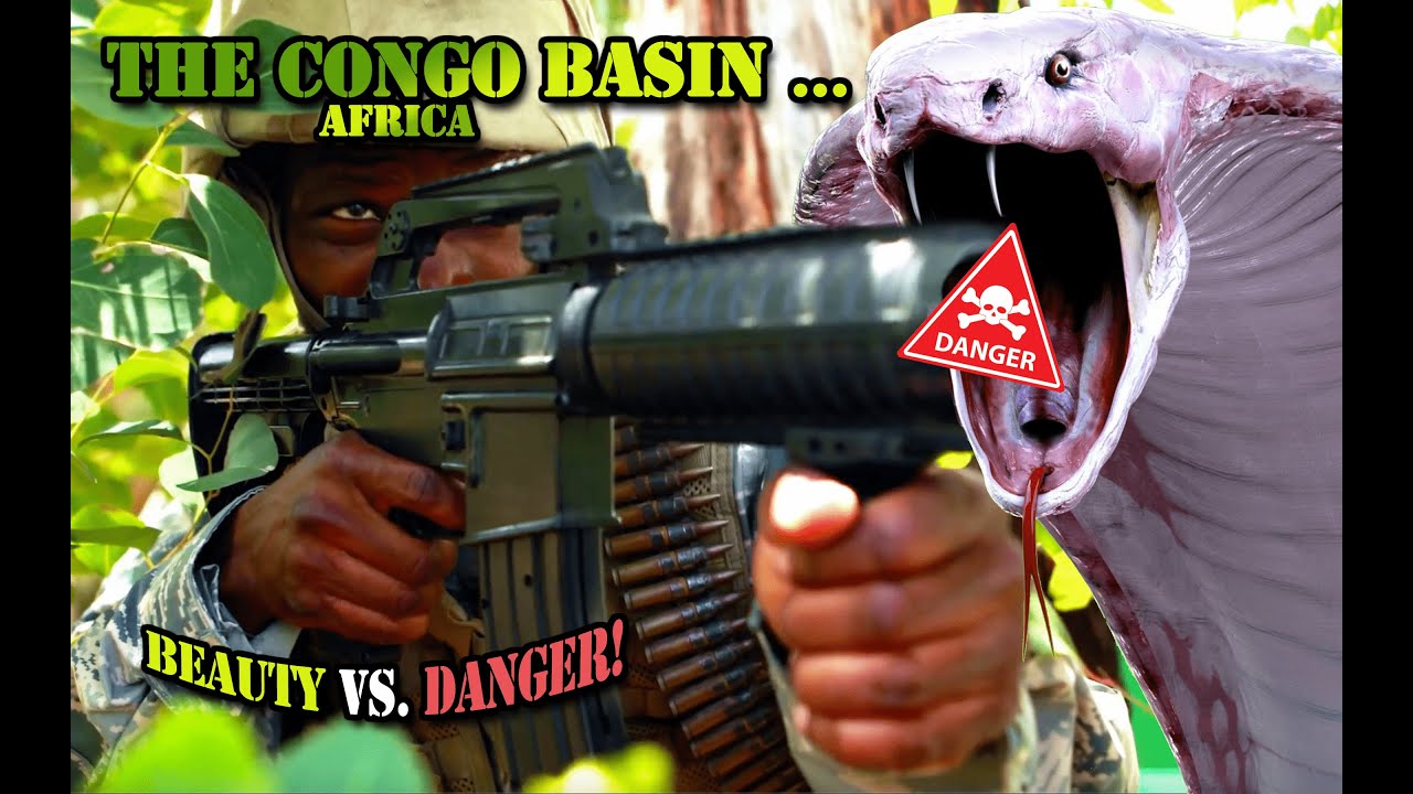 The Congo Basin in Africa: Earth&rsquo;s Most Beautiful and Dangerous Jungle! 🌿 🌍
