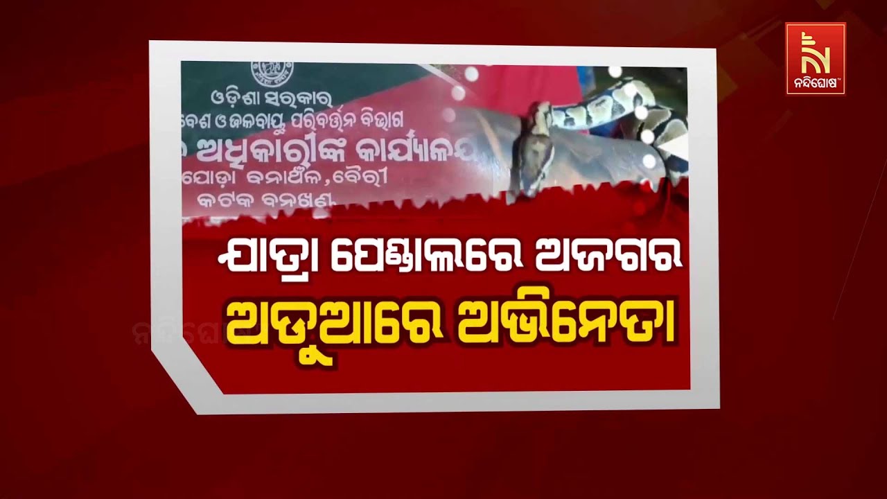 Odia Jatra Controversy: Entertaining Python Snake On Jatra Pandal Lands Actor Sai Into Trouble