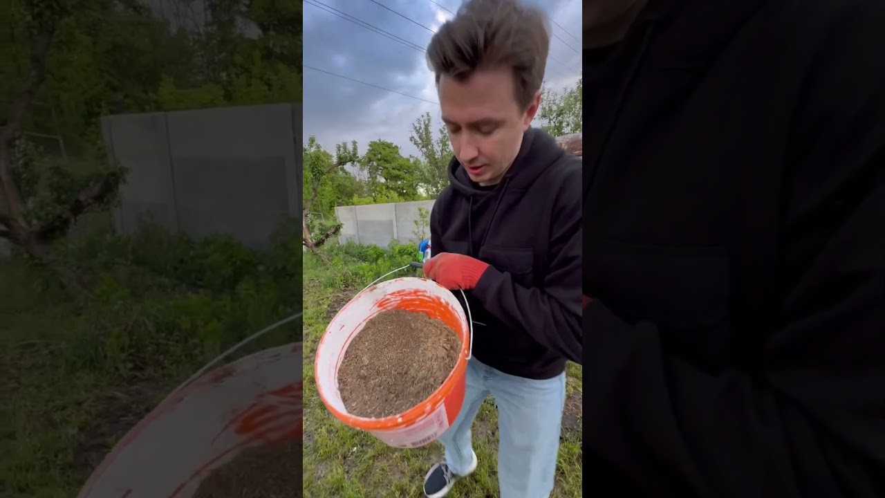 Как досеять газон.  | делаем газон густым