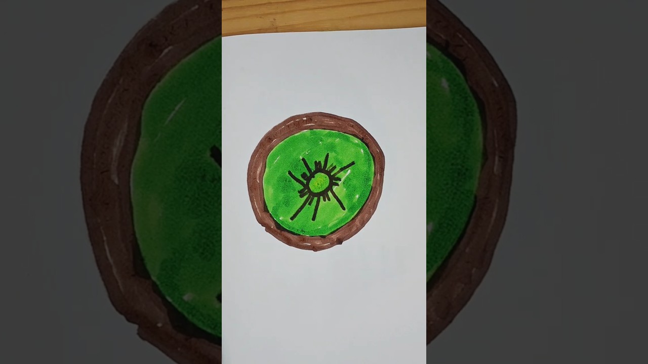 🥝kiwi fruit skech #youtubeshorts #art #howtodraw