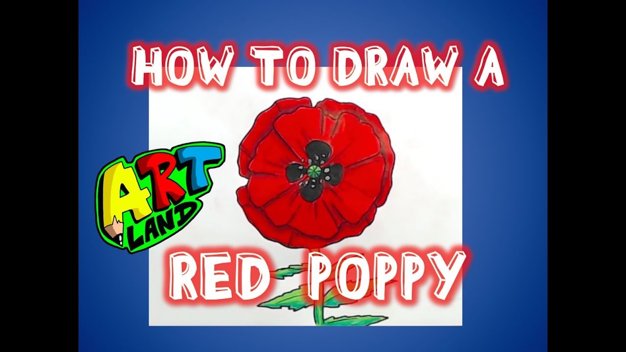 How to Draw a POPPY