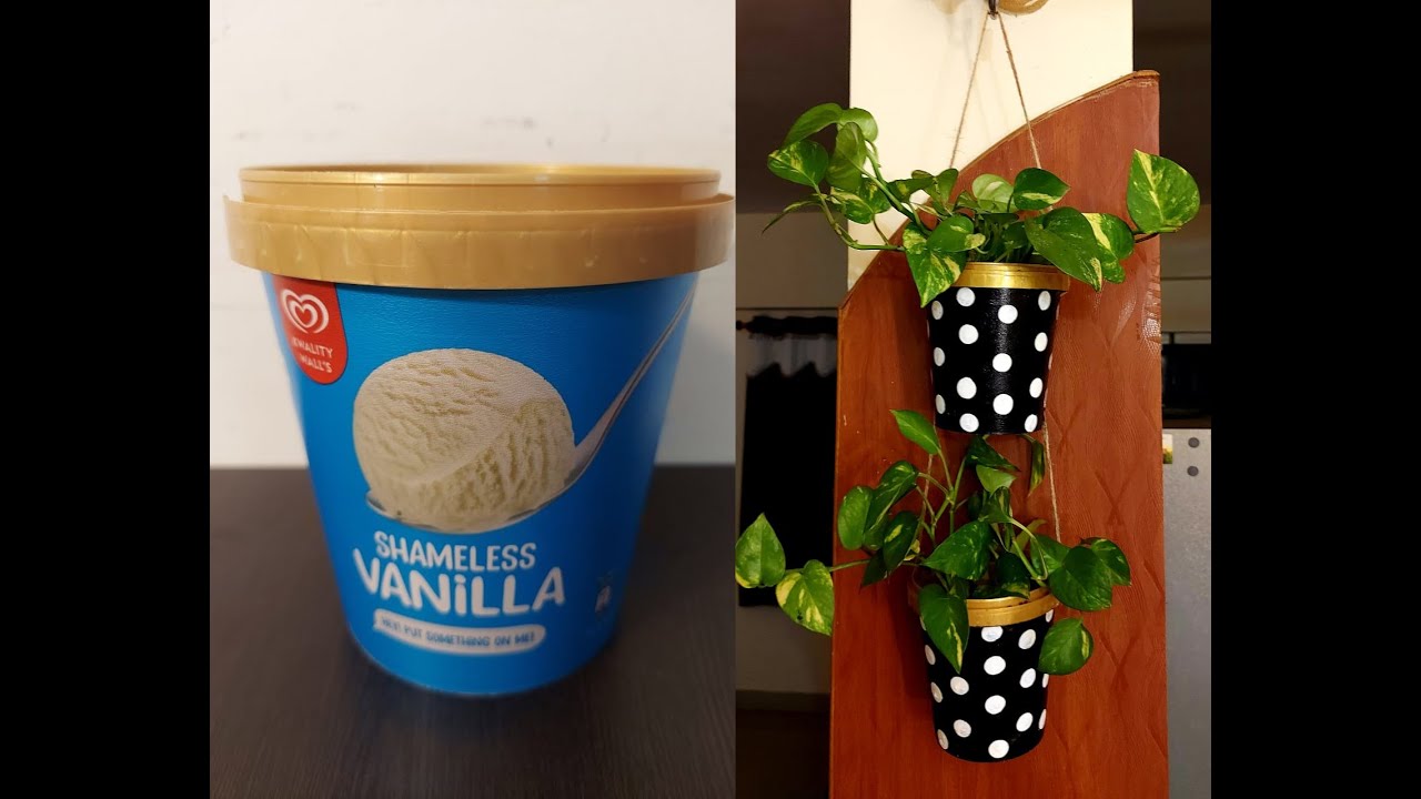 DIY - Indoor Hanging Planters Using Plastic IceCream containers / Home Decor Idea/ Best Out Of Waste