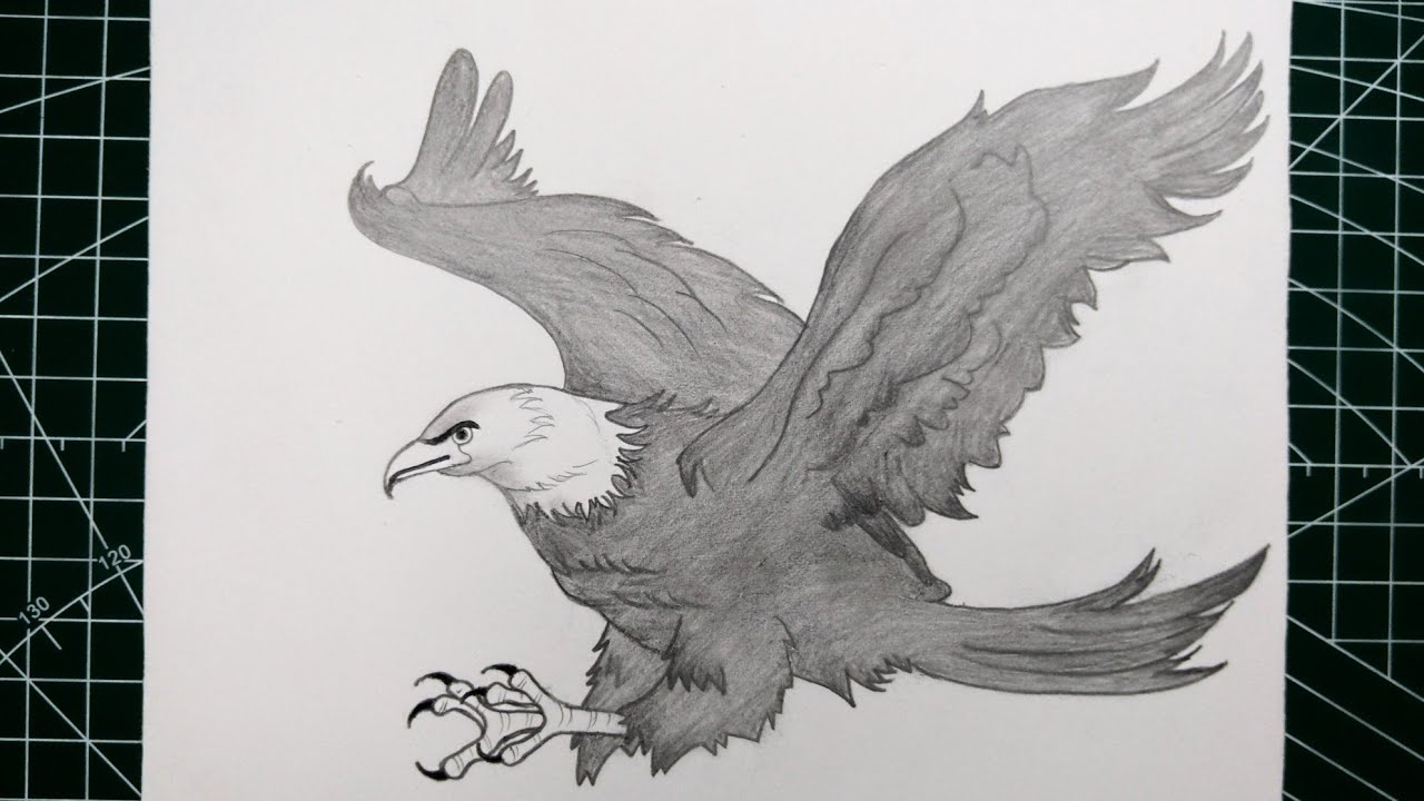 How to Draw an Eagle Step by Step Easy|| Eagle Drawing with Pencil.