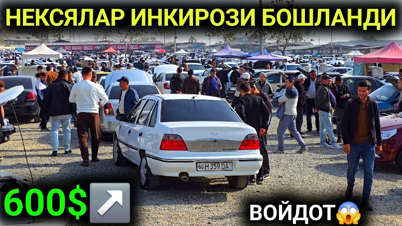 2-НОЯБР НЕКСЯ 1-2 НАРХЛАРИ 2025.ДИККАТ НЕКСЯЛАР ИНКИРОЗИ БОШЛАНДИ 600$ НЕКСЯ😱ЭХ.АНДИЖОН МОШИНА БОЗОР