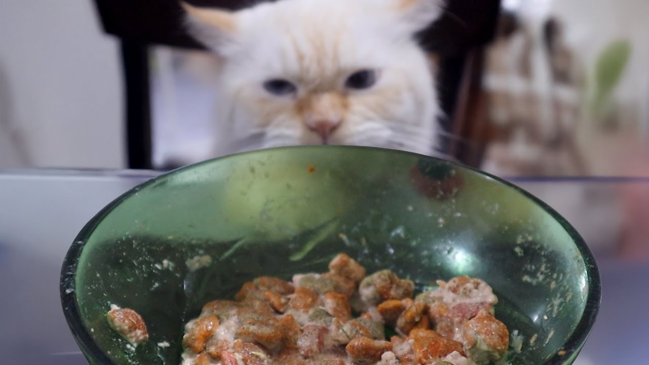 Toru Eating ASMR - EP:8