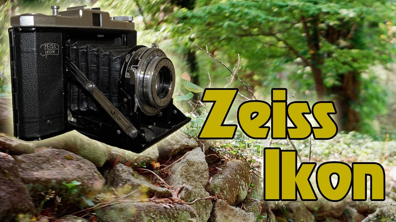 Film Photography - Zeiss Ikon Nettar