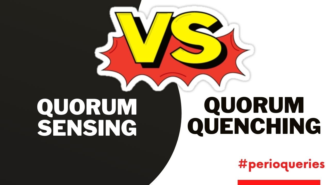 QUORUM SENSING AND QUORUM QUENCHING II Periodontal bacteria II #perioqueries