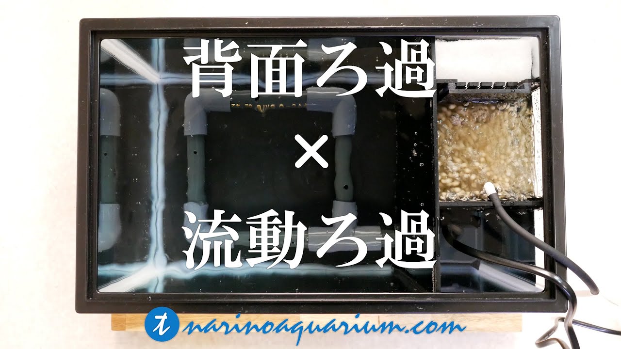 自作した背面式流動濾過湧水水槽の紹介