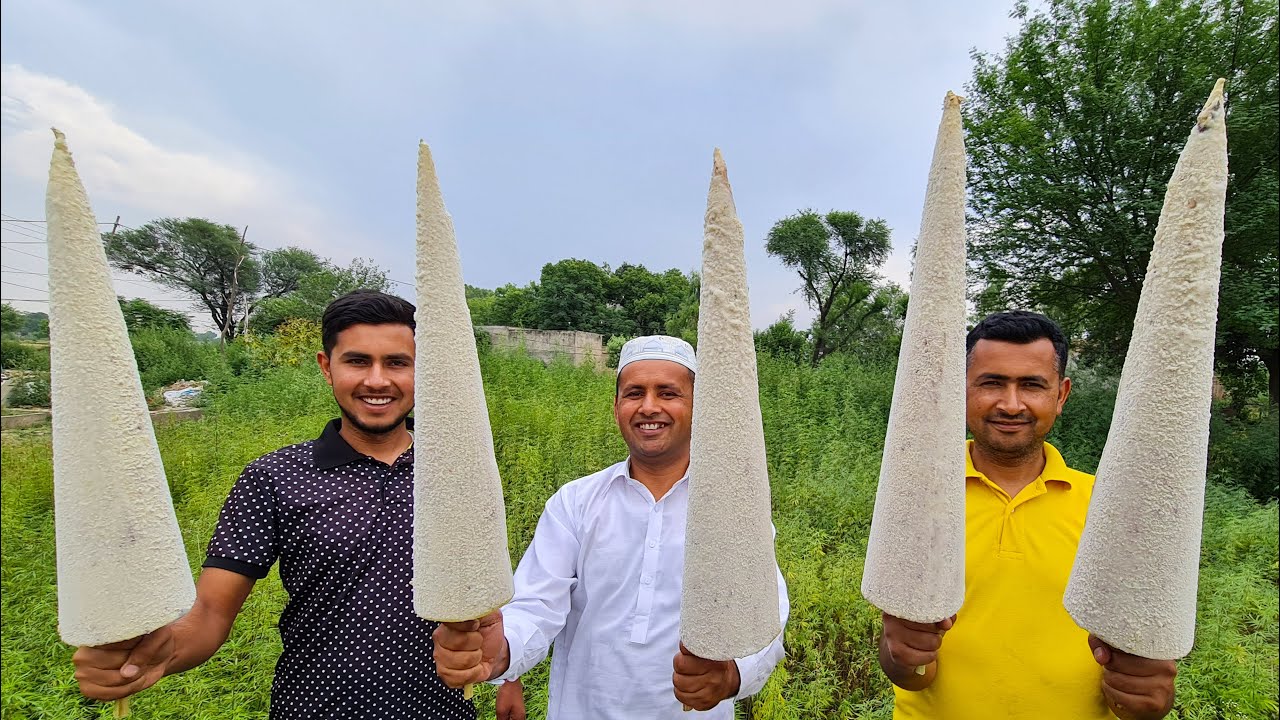 THE BIGGEST Malai Kulfi In The World | Khoya Kulfi | Malai Kulfi | Badam Kulfi  Village Food Secrets