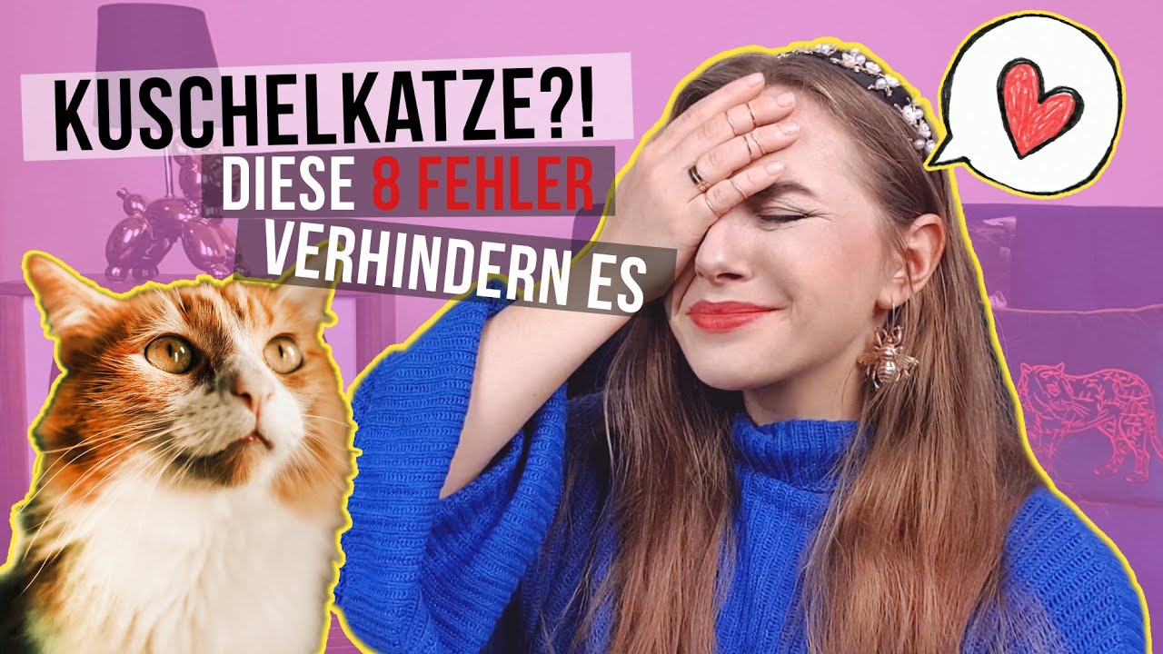 Kuschelkatze? 8 Tipps damit deine Katze kuscheln kommt /Katzenerziehung / Amely Rose & Catwalk