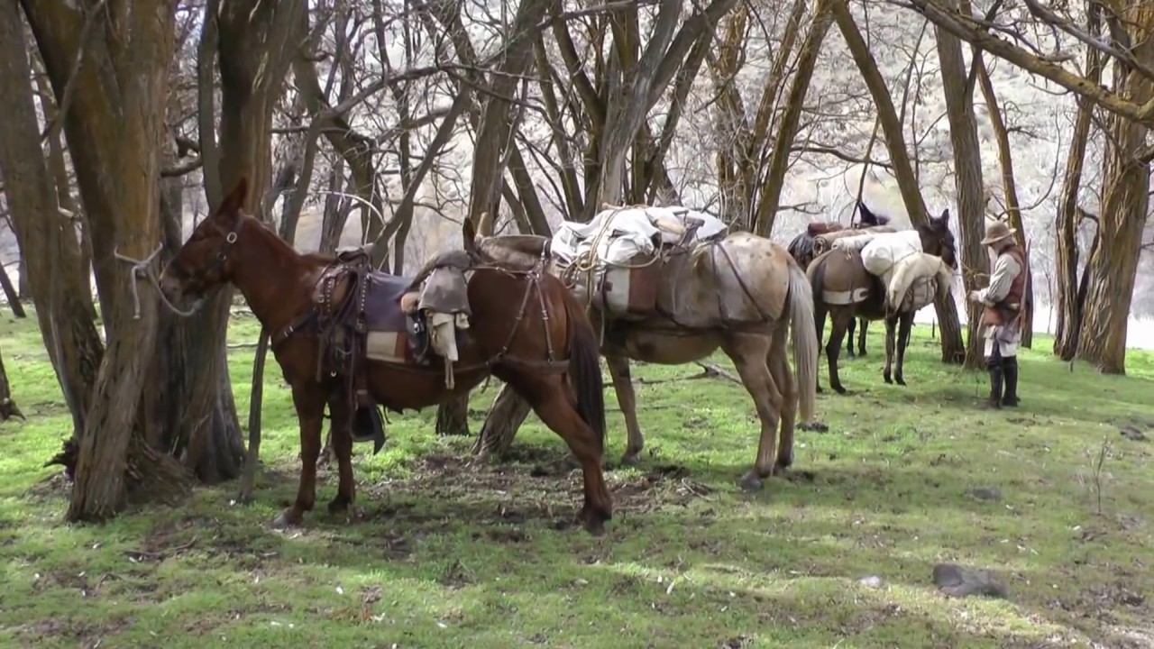 Easy Riders