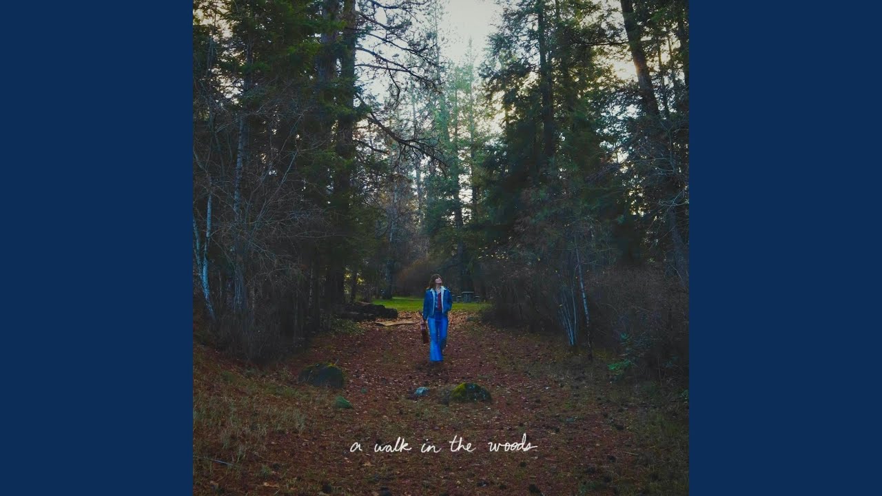 A Walk In The Woods