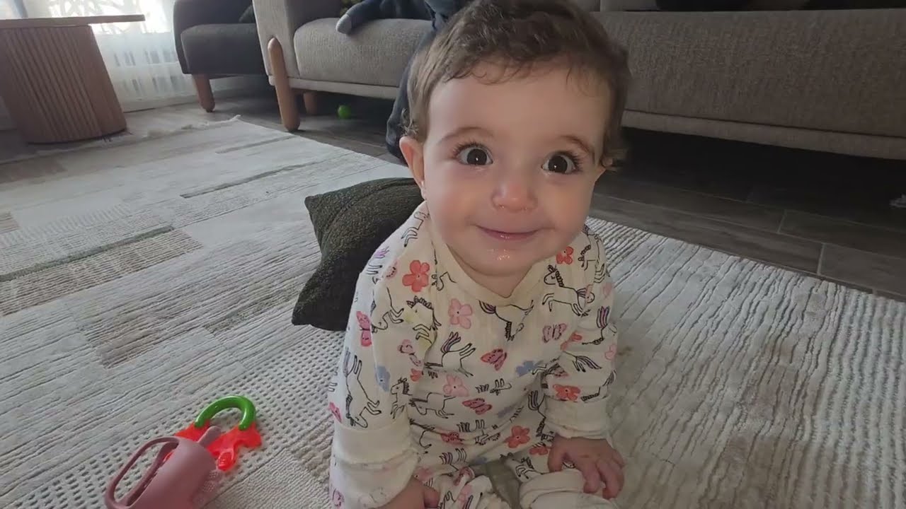 KEDİMİZ MİA PİTPULL TARAFINDAN SALDIRIYA UĞRADI!!!POYRAZ ELİF G&Ouml;LDE MİAYI ARIYOR!!!