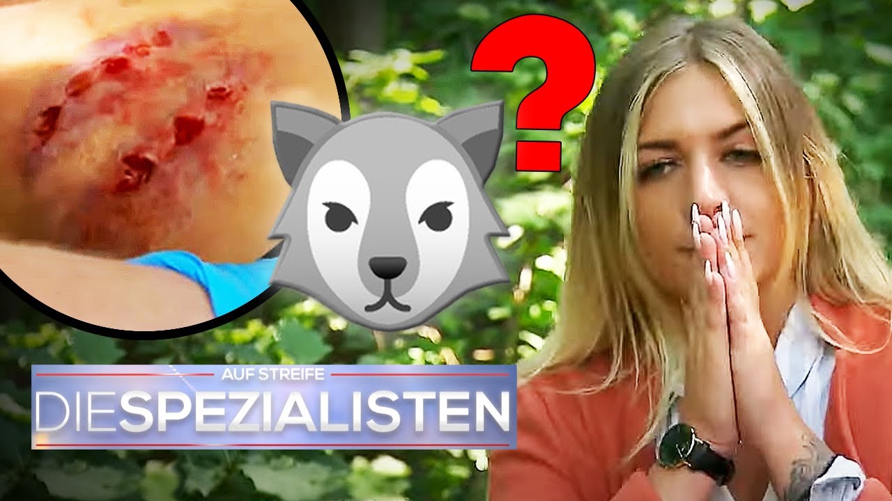 WOLF-Alarm beim Walken im Wald?! Was ist Kai wirklich zugestoßen? | Die Spezialisten | SAT.1