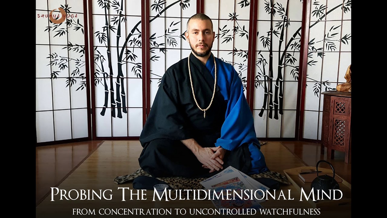 Probing The Multidimensional Mind : From Concentration To Uncontrolled Watchfulness