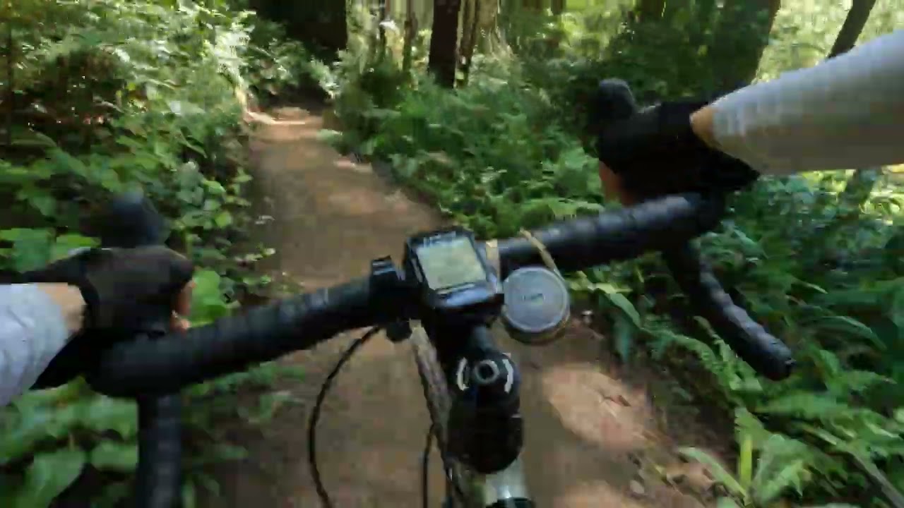 4k GoPro10 Gravel Bike some mtb singletrack