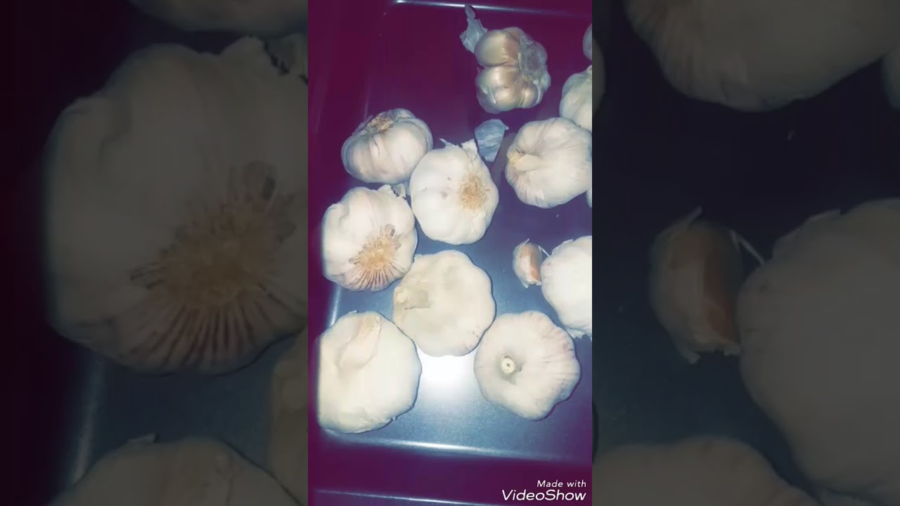 Recette de MA pulpe d'ail