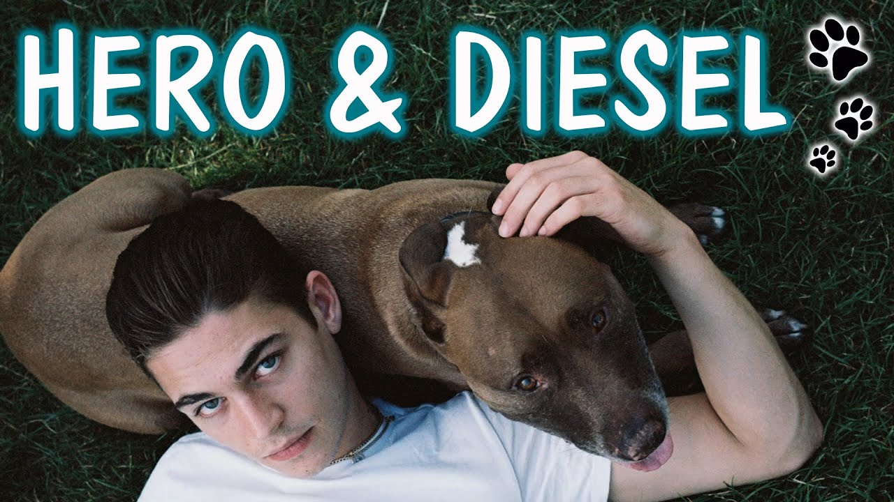 HERO FIENNES TIFFIN & HIS DOG DIESEL'S BTS SHOOT