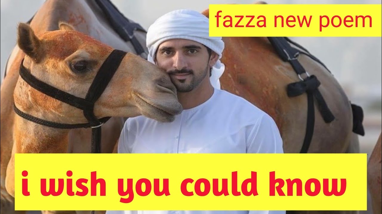 i wish you could know| fazza beautiful poem| fazza shiekh hamdan|fazza new English translation poem