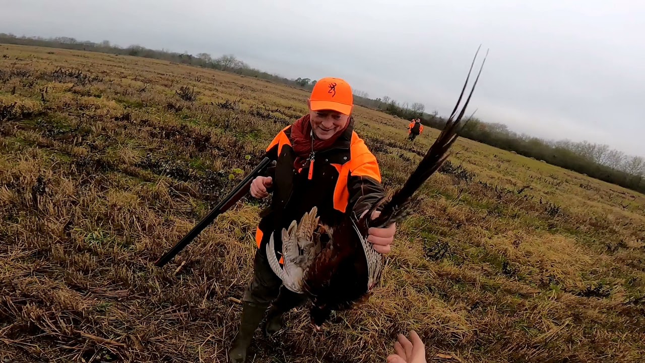 Chasse en Sologne au petit gibier