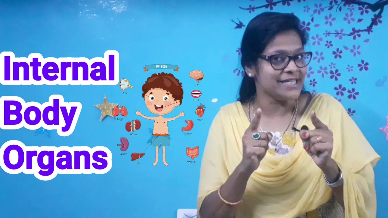 Internal Organs of Human Body/ EVS lesson for kindergarteners / Diana's Diana's Classroom.