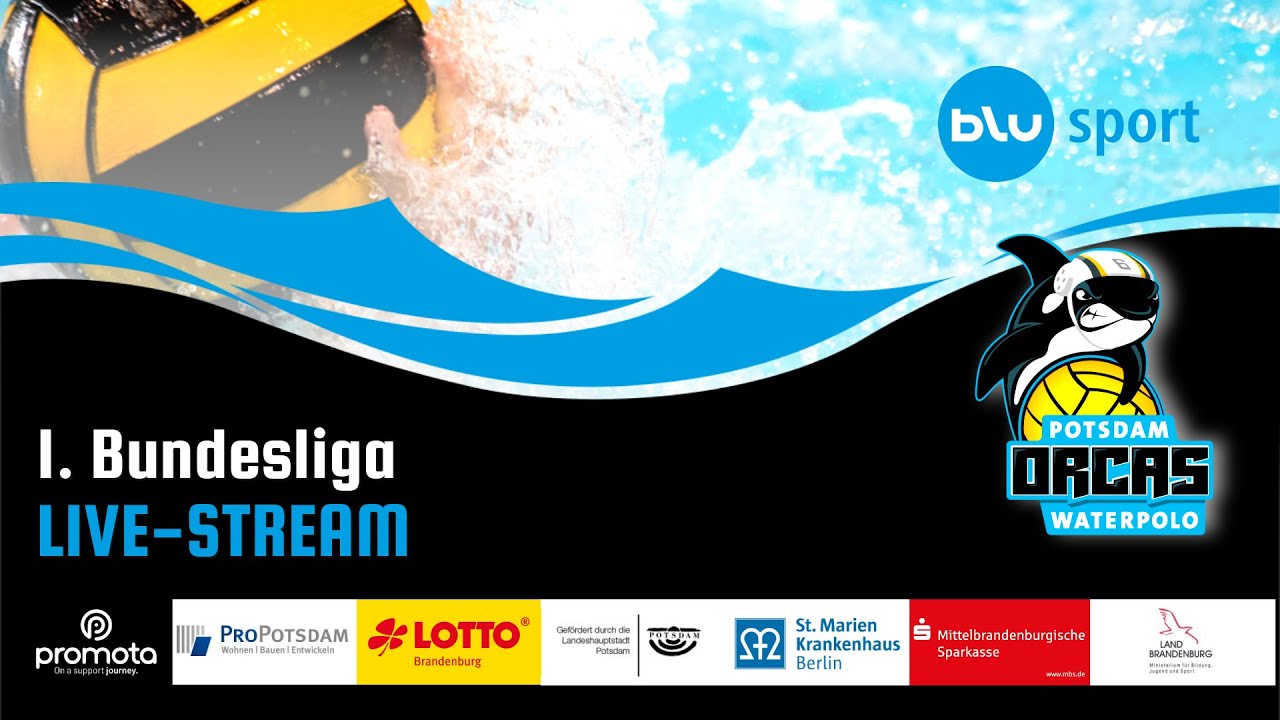 🏐 1. Bundesliga Wasserball | Potsdam Orcas vs. ASC Duisburg | 5. Spieltag | Live aus Potsdam