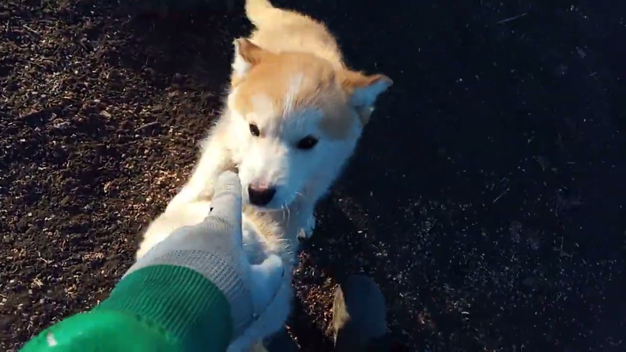 7 березня 2026 р.