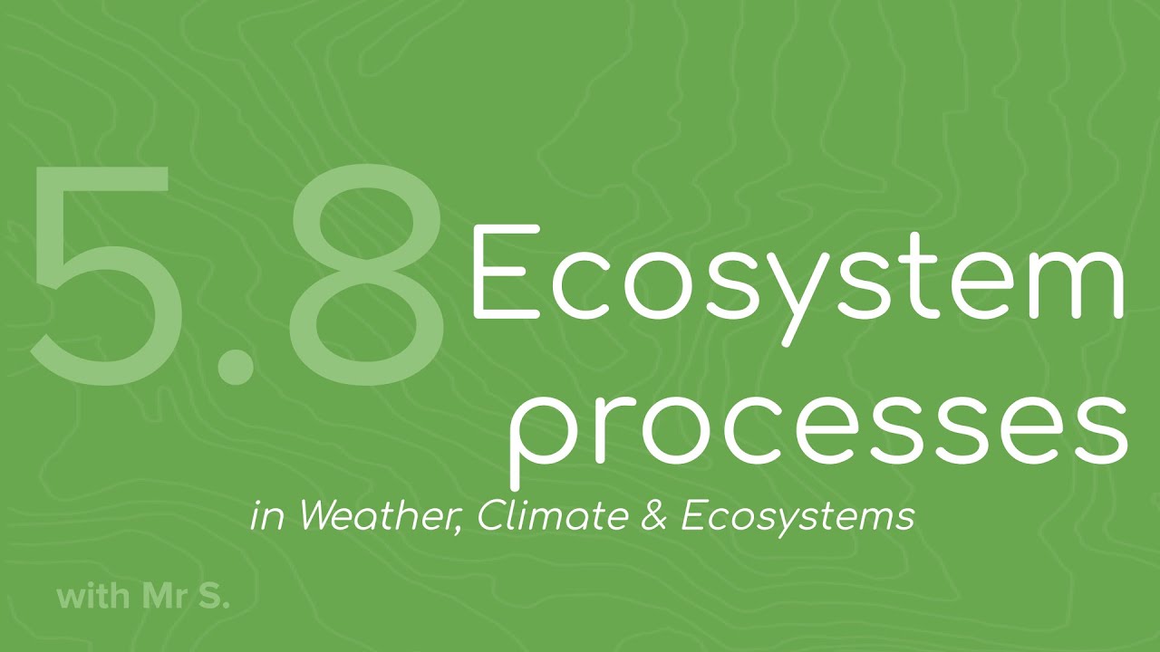 Ecosystem processes (FMGL5.8)