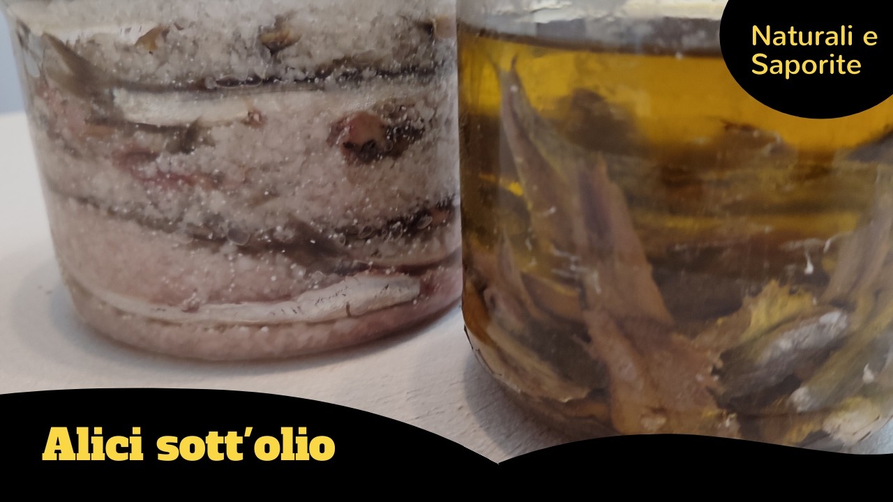 Alici Sott&rsquo;Olio Fatte in Casa | Conserva Gustosa e Versatile