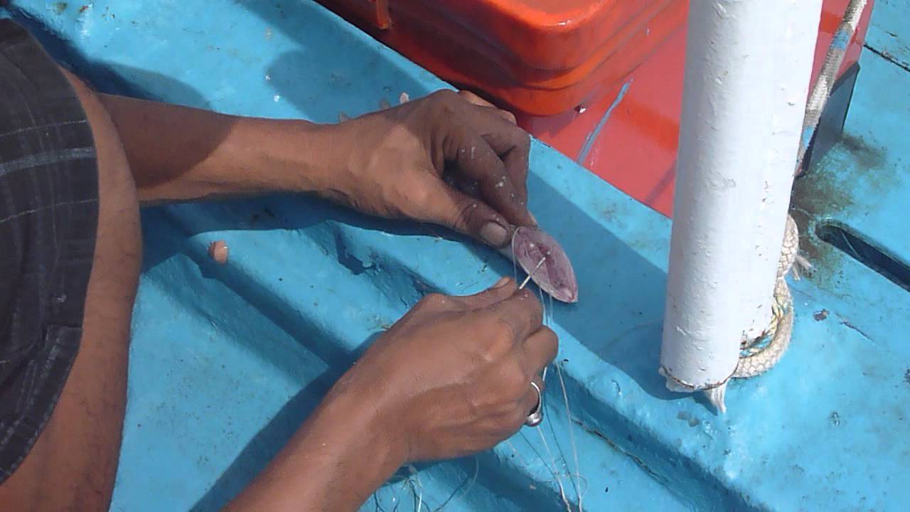 Deck hand preparing a Sailfish bait