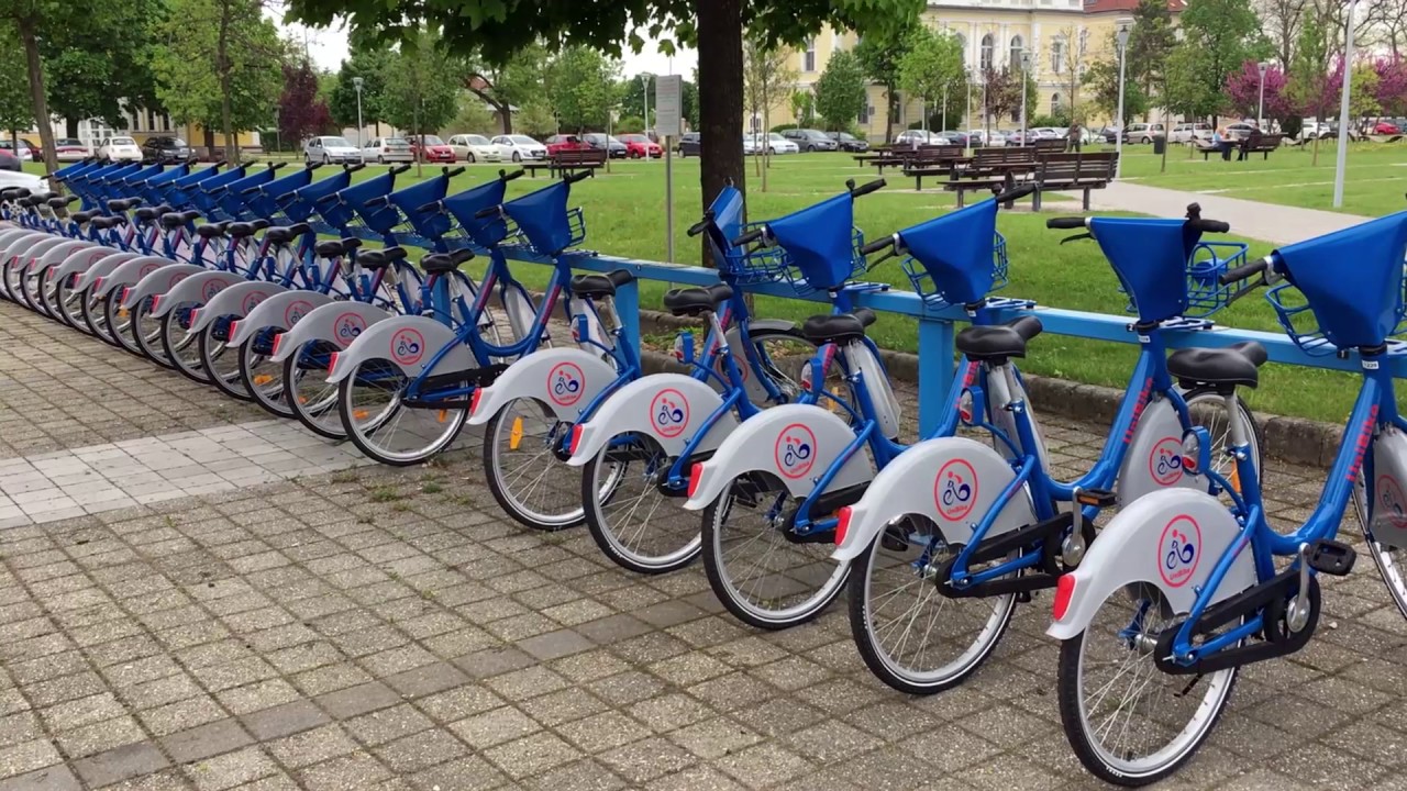 University of Debrecen (2017)